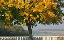 Somme Cycling Tour, October 2015