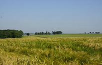 Somme Cycling Tour, September 2017