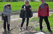 Walking the Somme Tour, April 2017