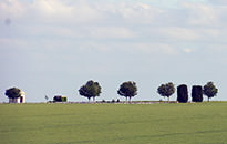 Walking the Somme Tour, June 2015