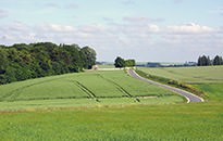 Walking the Somme Tour, June 2015