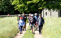 Walking the Somme Tour, June 2015