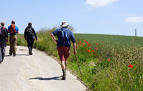 Walking the Somme Tour, June 2015