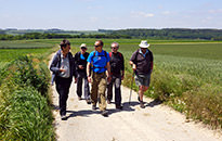 Walking the Somme Tour, June 2015