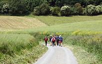 Walking the Somme Tour, June 2015