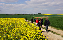 Walking the Somme Tour