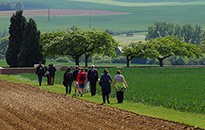 Walking the Somme Tour