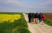 Walking the Somme Tour