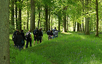 Walking the Somme Tour